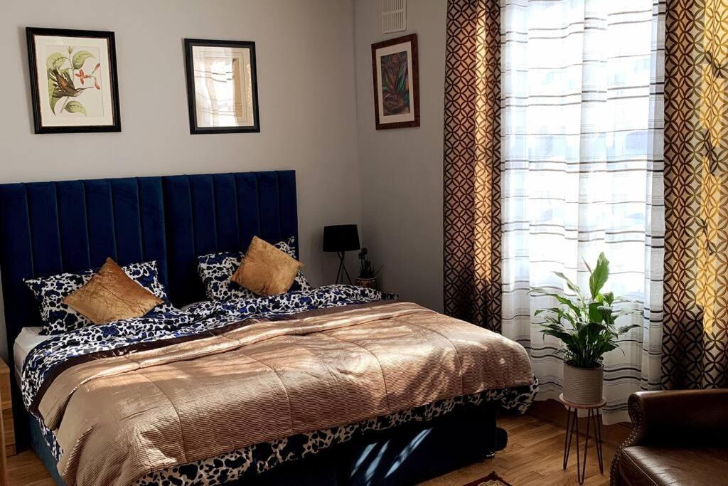 Stylish And Cosy 3 Bedroom Apartment