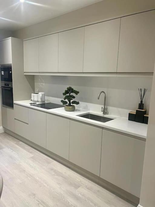 New Flat In Holland Park *