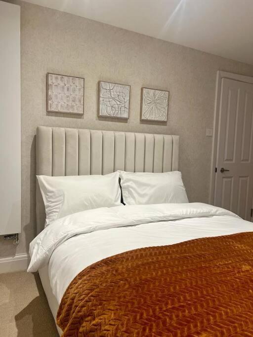 New Flat In Holland Park
