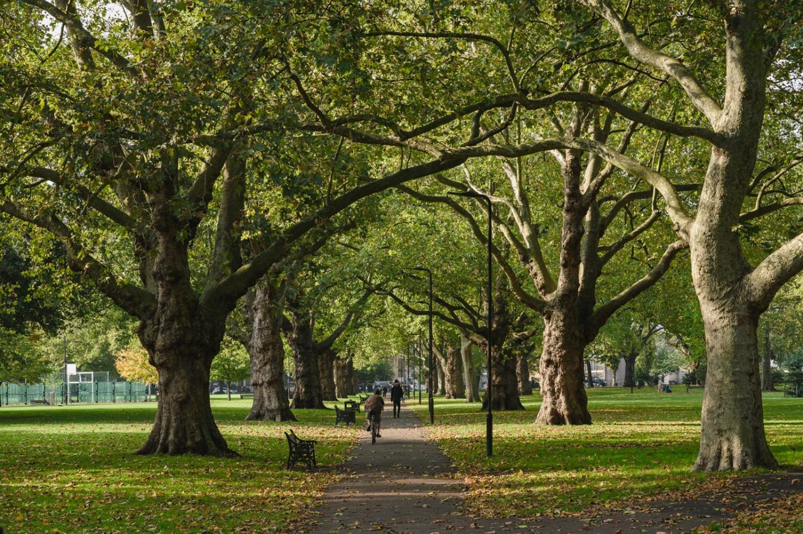 Lovely In Victoria Park Village Londres