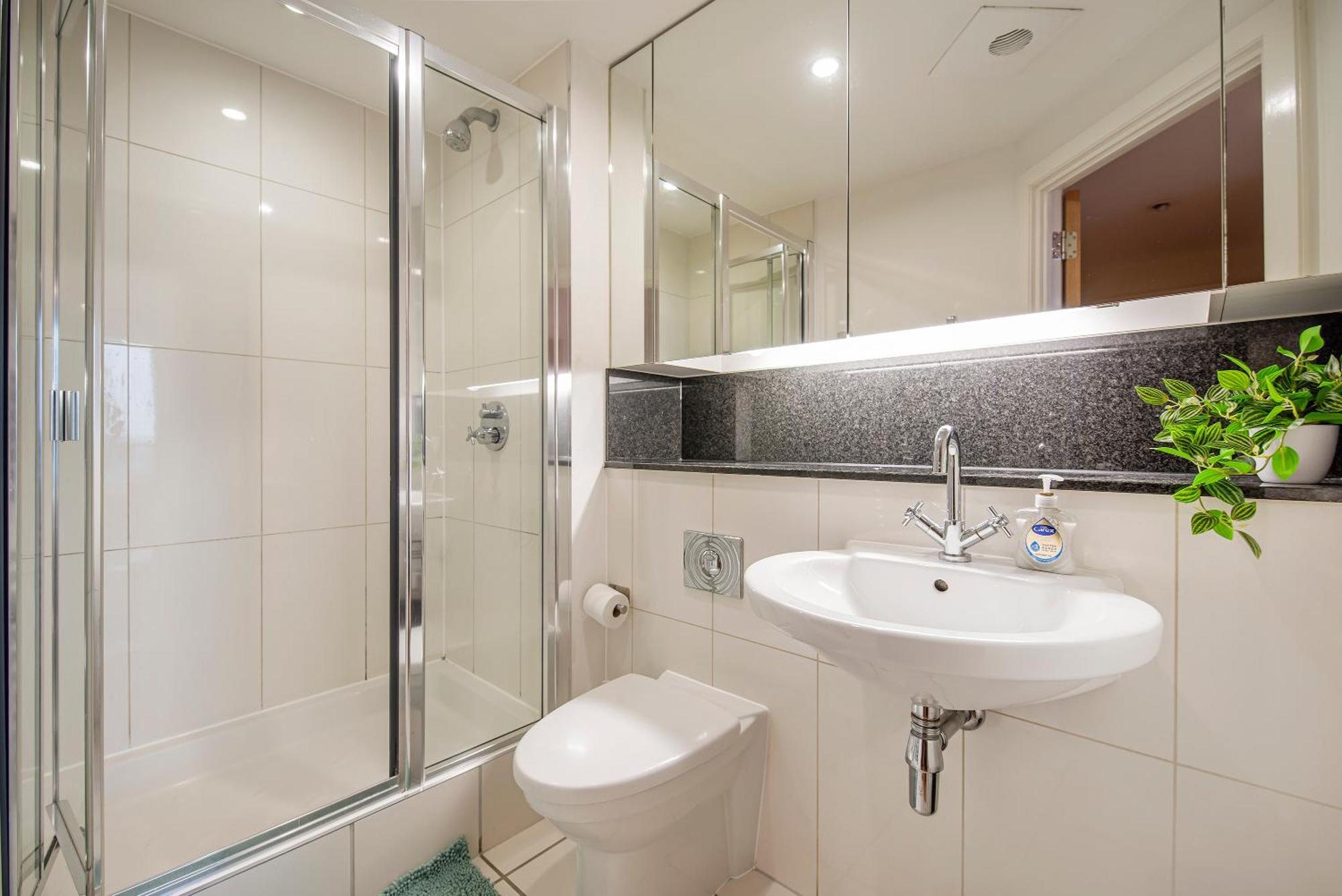 Big Flat Close To Big Ben Apartment London