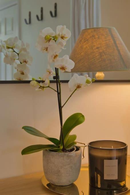 Modern Self-contained With Own Access In Stroud Apartamento
