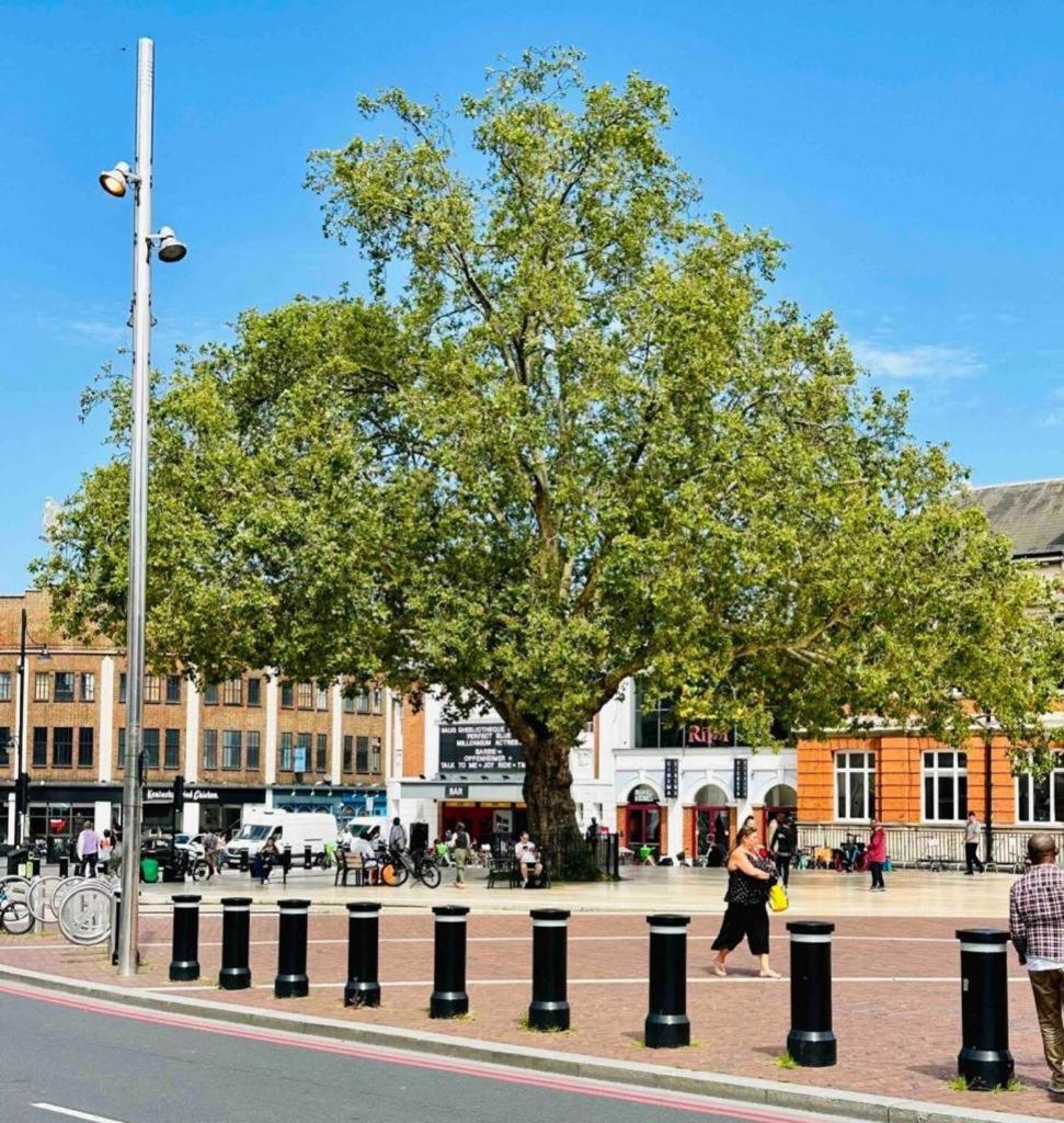 Apartment Stylish 2 Bedrooms Flat Sleeps 6 & Garden Zone 2 Cls London