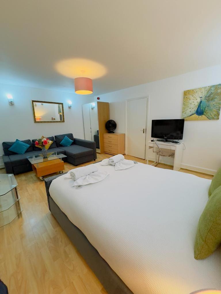 Bright Budget Studio In Central Apartment London