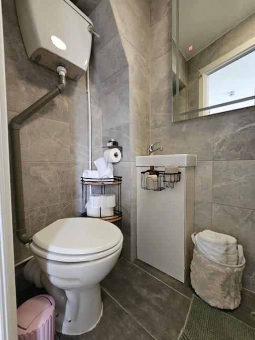 Stylish Putney Village Flat London