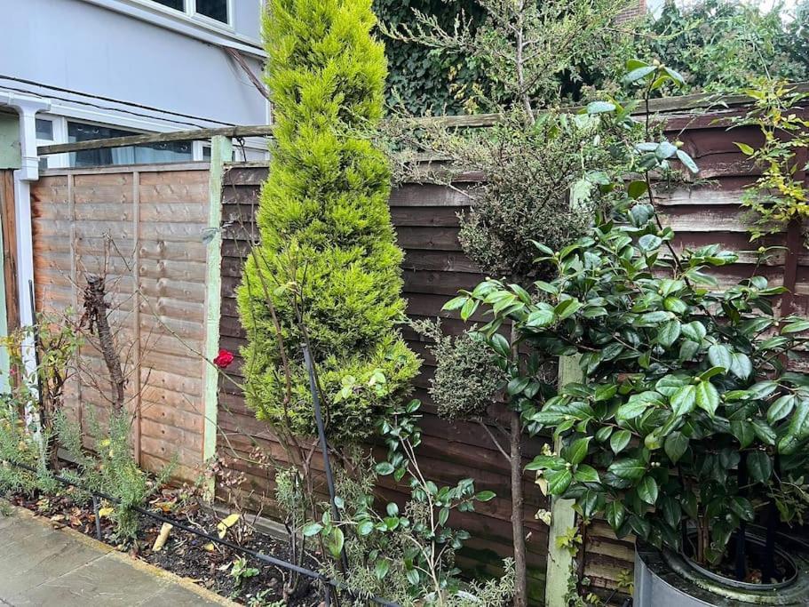 Stunning 2 Bedroom Duplex In The Heart Of * London