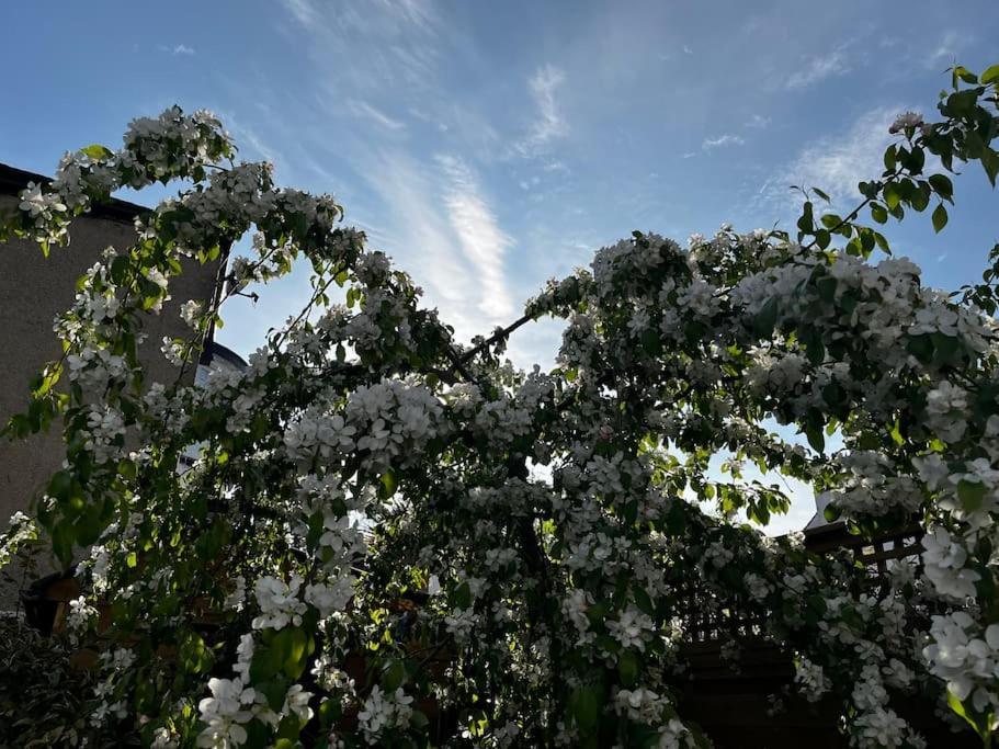 Holiday home A Beautiful And Welcoming And Garden London