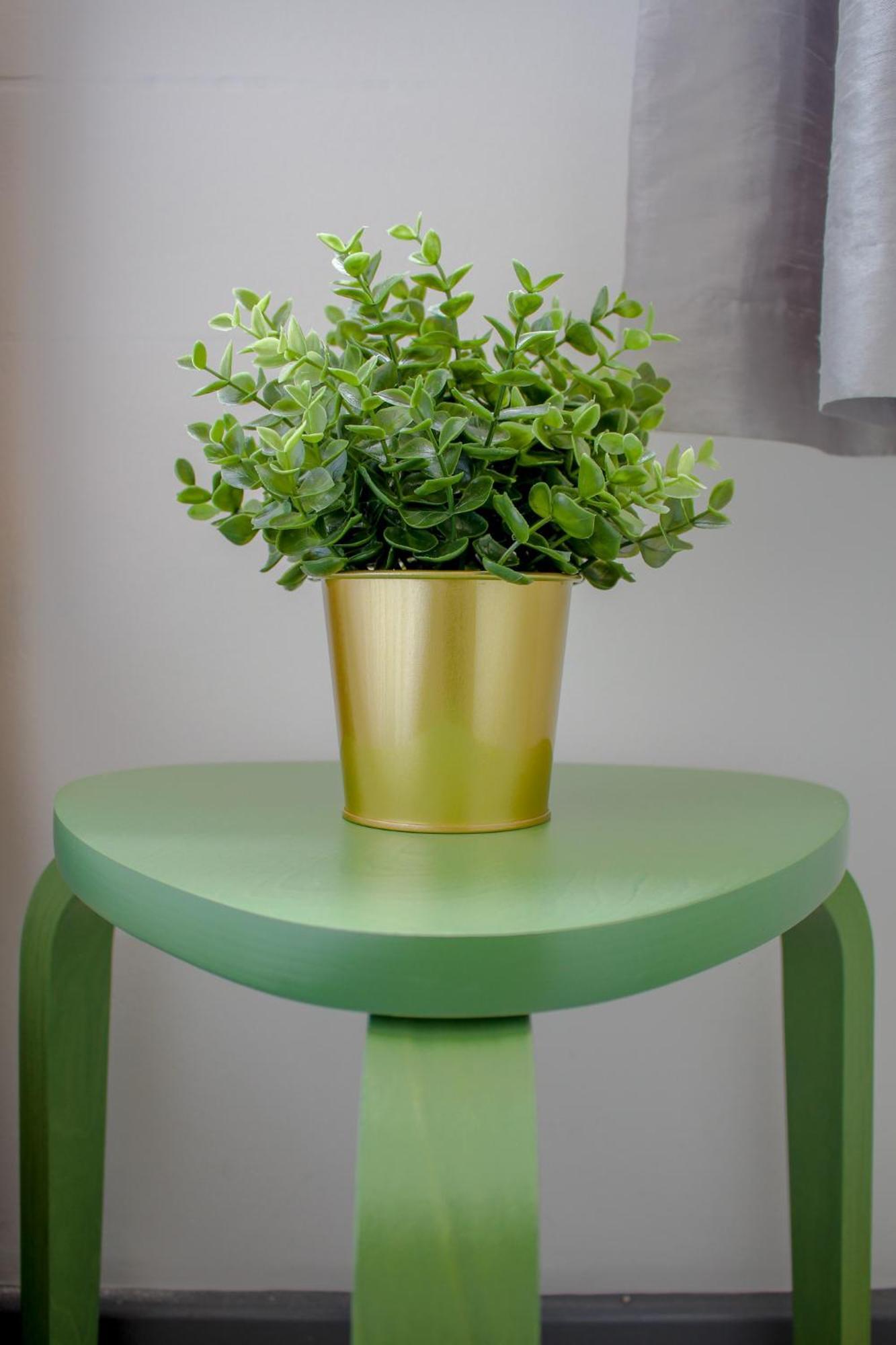Luxury Boutique Studio Apartamento Londres