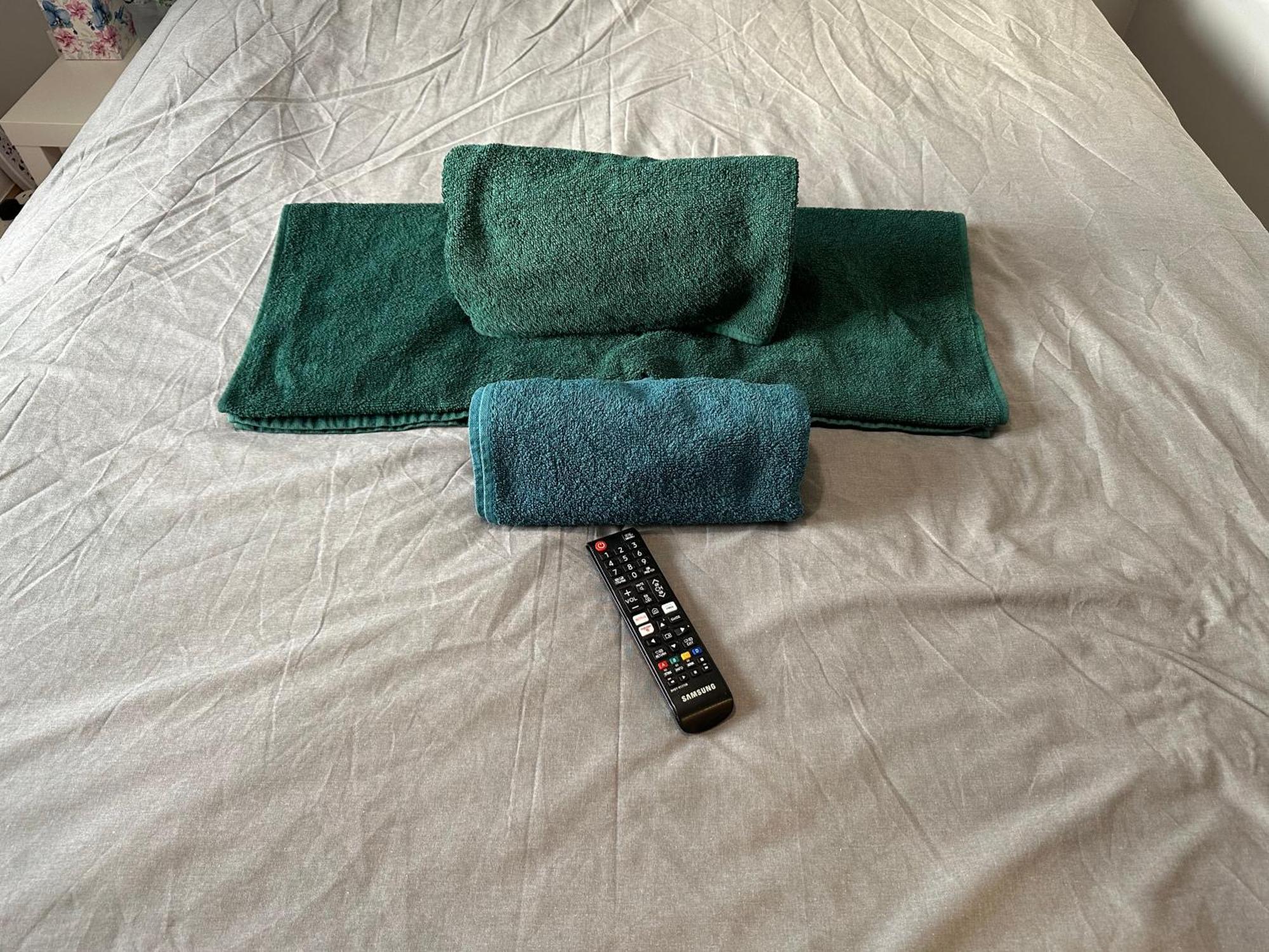 Wembley Serviced Apartment, 20mins From Central Homestay London