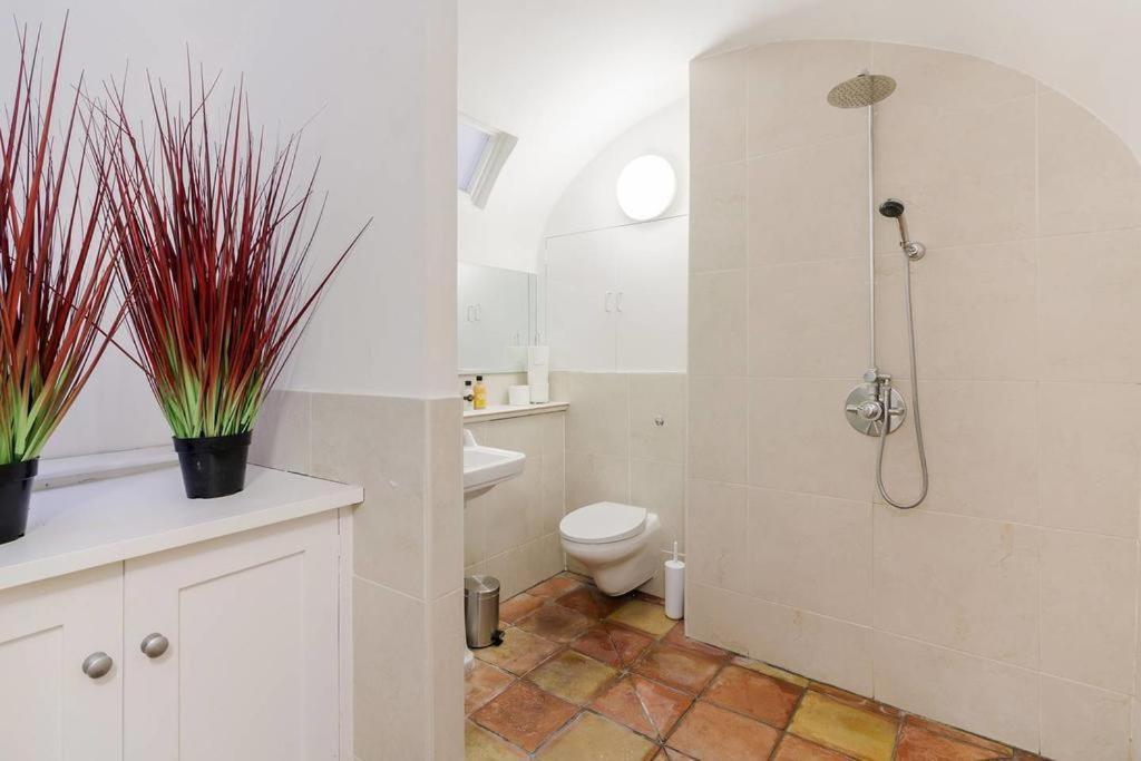 Apartment Spacious Soho On Quaint Cobbled Street London