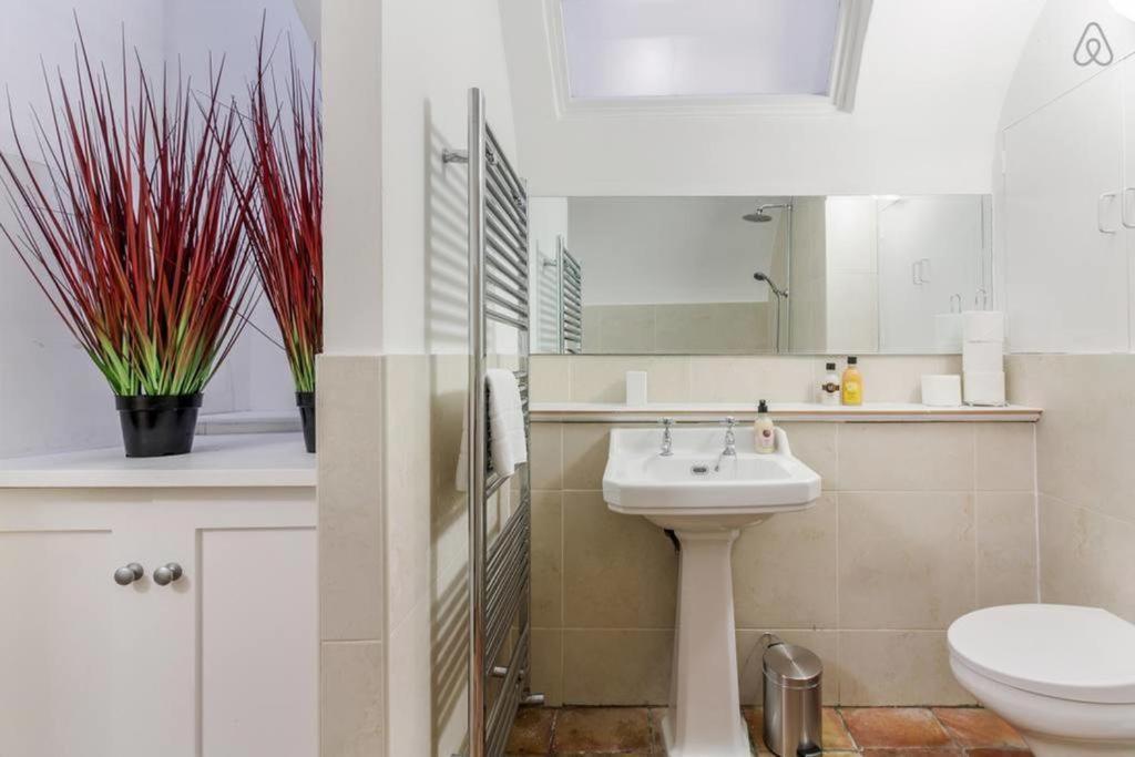 Spacious Soho On Quaint Cobbled Street Apartment London