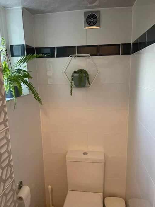 Apartment West Stunning Garden Flat - Period Features London