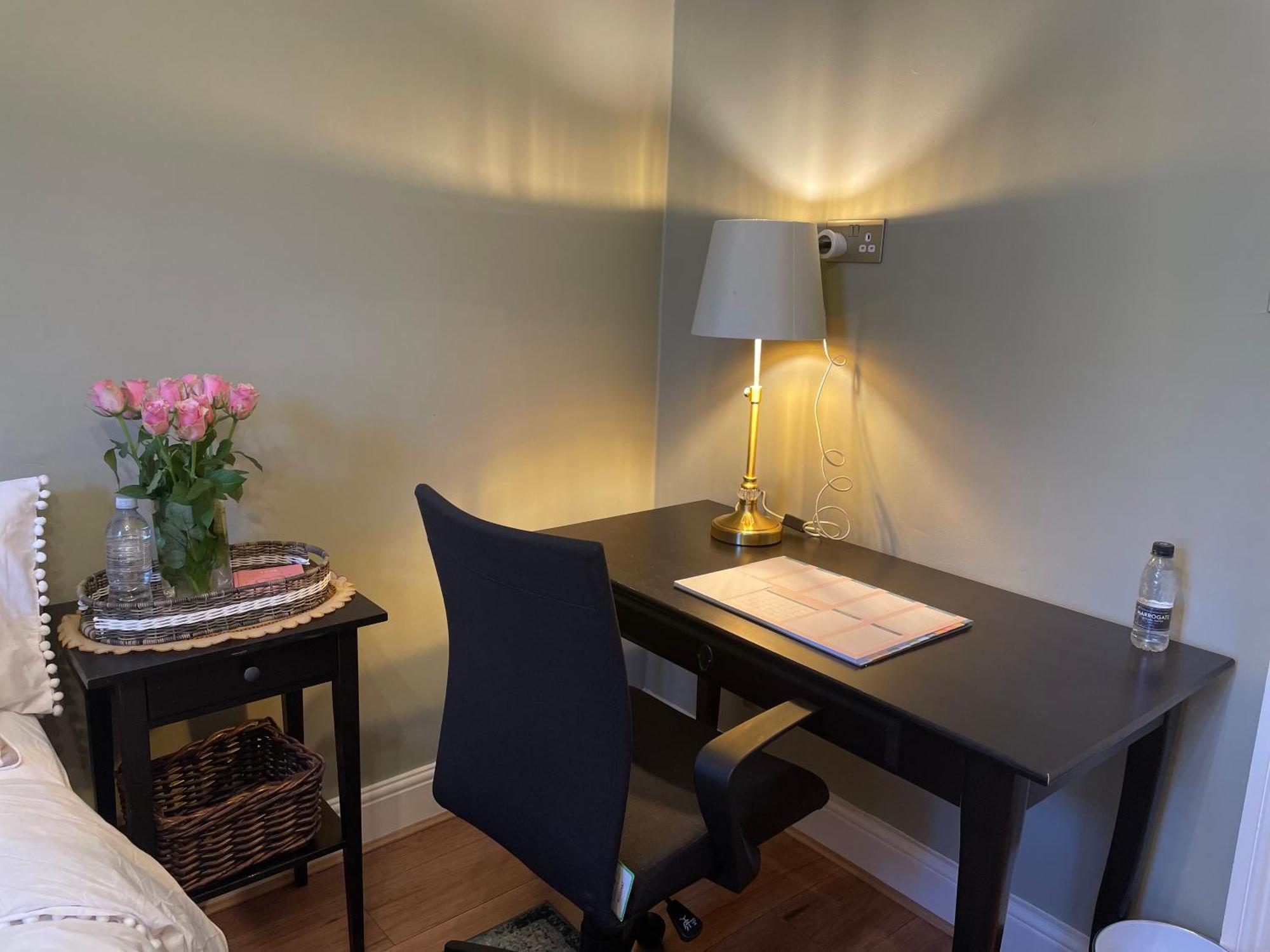 Apartment Homely 2 Levels Flat W Private Garden London