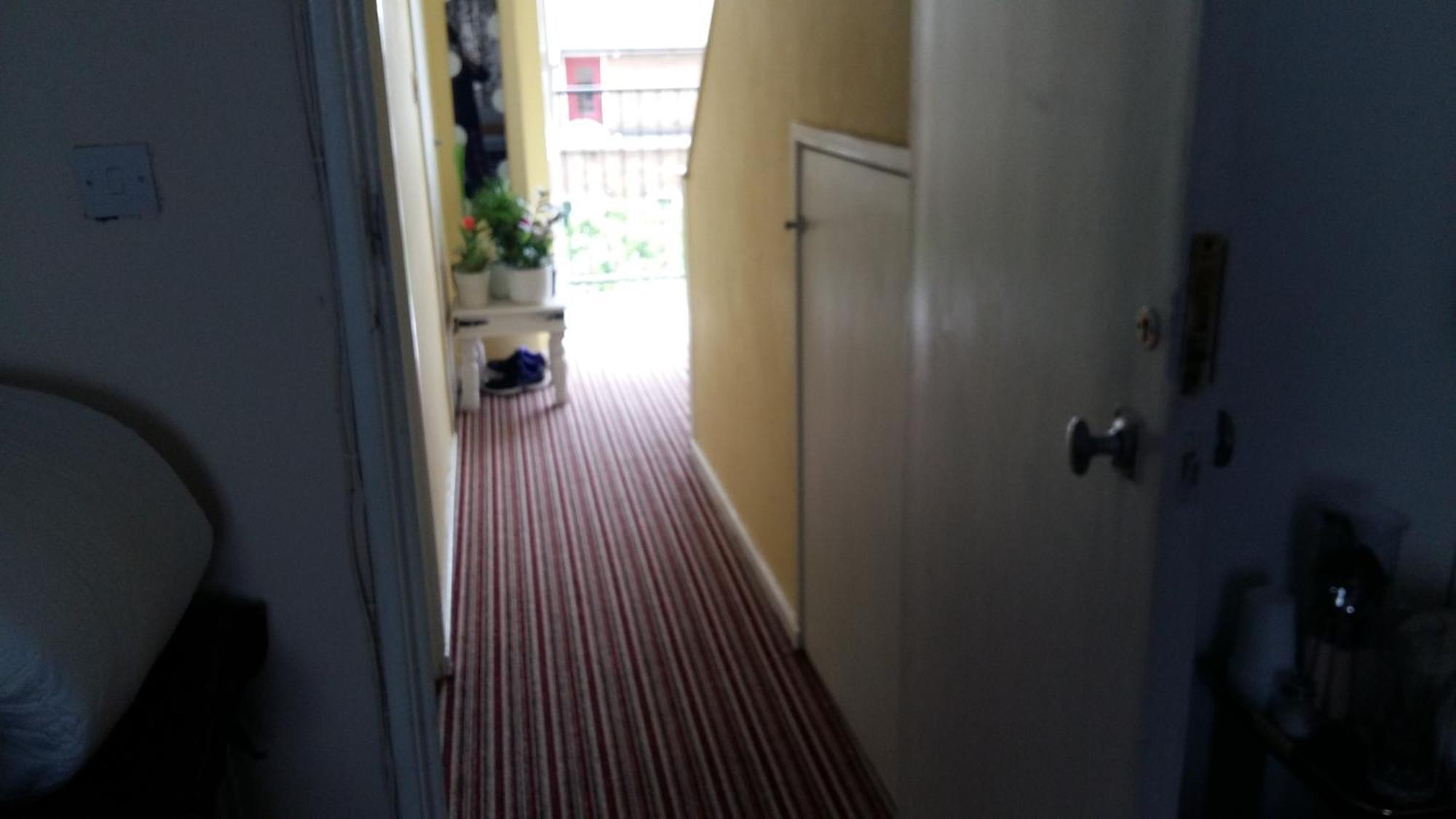Prospect Hill Homestay *