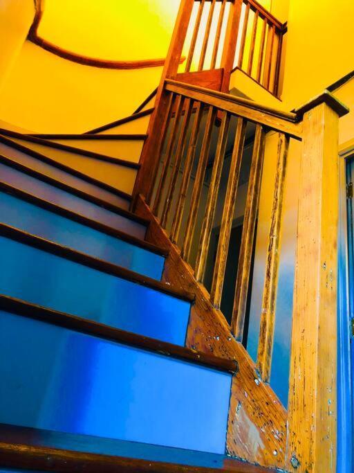 Carpe Diem Flat Near Zone 1 Apartamento *