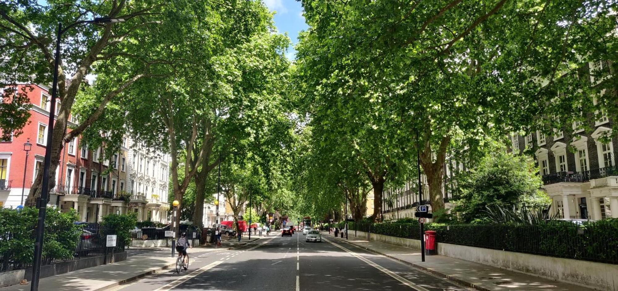 Indigo Hyde Park Paddington By Ihg Hotel