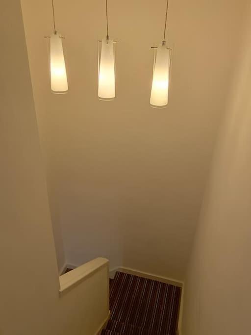 Apartment Spacious 3 Bed Flat Opp Springfield Park, Hackney. London