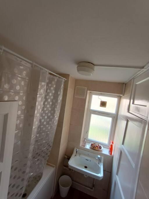 Spacious 3 Bed Flat Opp Springfield Park, Hackney. Apartment