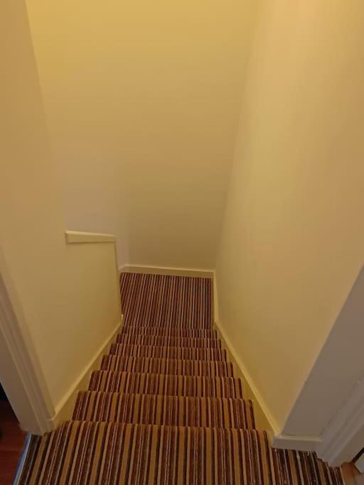 Spacious 3 Bed Flat Opp Springfield Park, Hackney. Apartment London