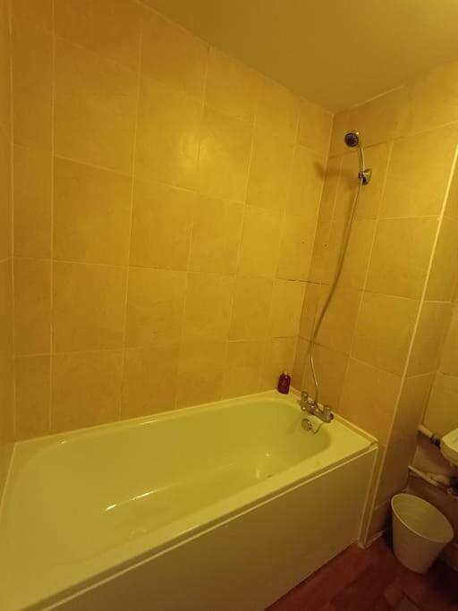 Apartment Spacious 3 Bed Flat Opp Springfield Park, Hackney. London