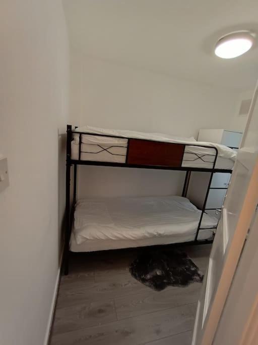 Apartment Spacious 3 Bed Flat Opp Springfield Park, Hackney. *