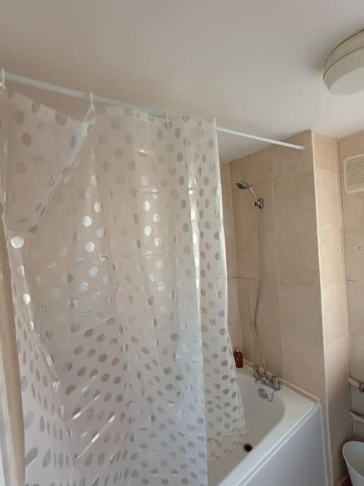 Spacious 3 Bed Flat Opp Springfield Park, Hackney.