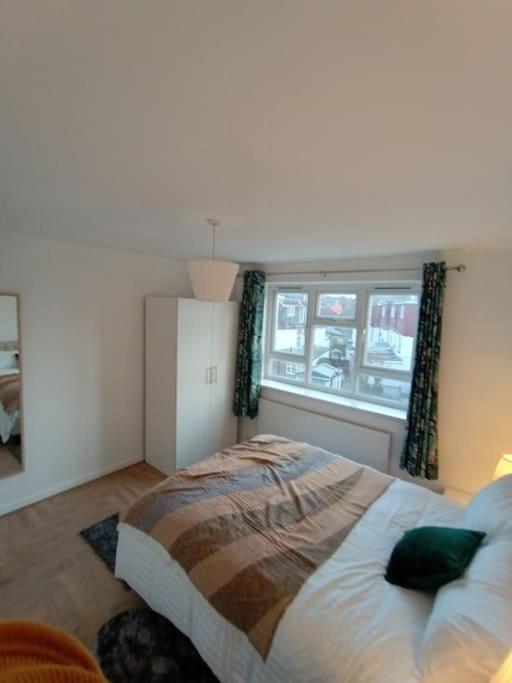 Apartment Spacious 3 Bed Flat Opp Springfield Park, Hackney. London