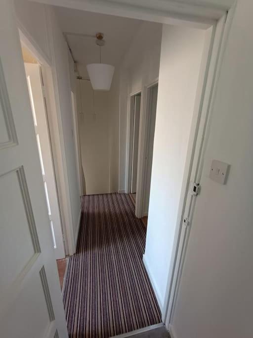 Apartment Spacious 3 Bed Flat Opp Springfield Park, Hackney. London
