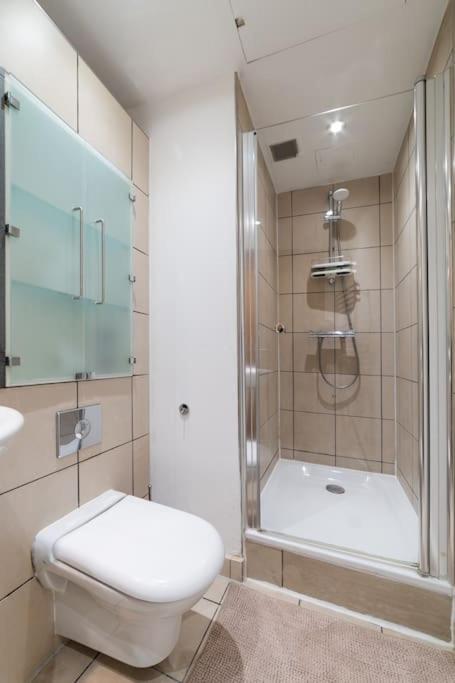 Piccadilly Circus-west End Central Studio Apartment