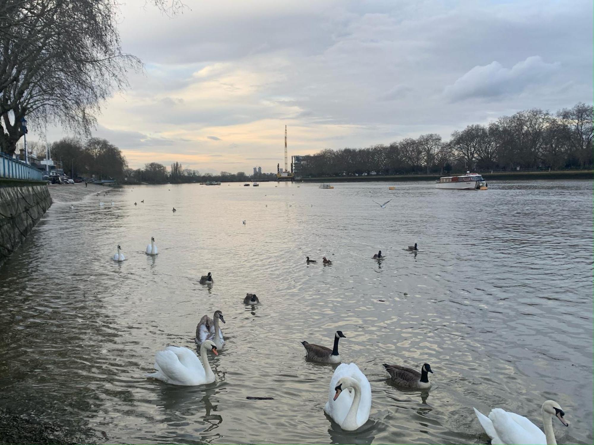 Boutique Putney Riverside Apartment