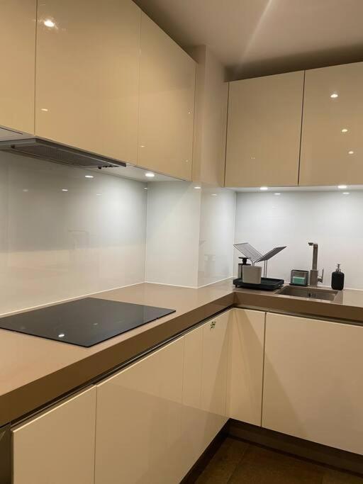 Modern W/ Canal View Apartment London