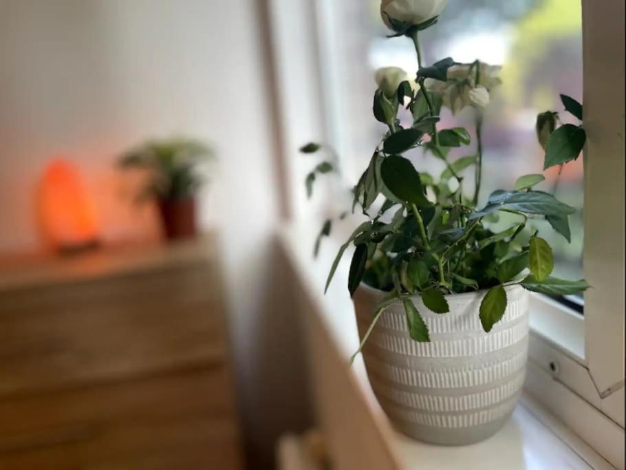 Spacious 2 Bedroom In Hoxton Apartamento