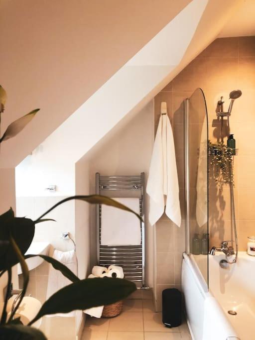 The Sycamore Retreat - Hampstead Apartment
