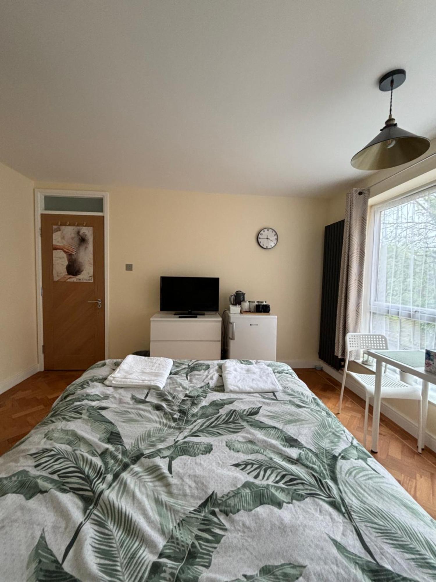 Wembley Stadium Large Double Homestay *