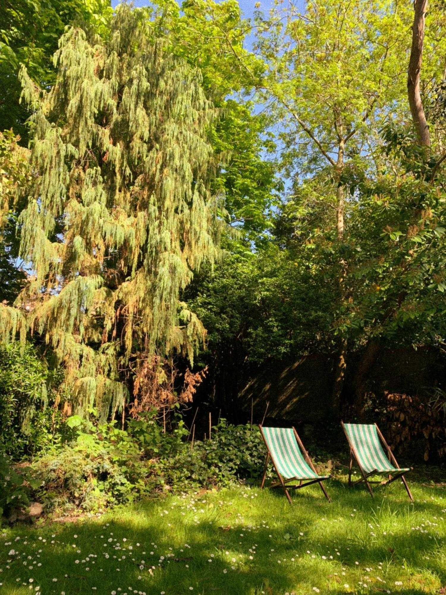 The Garden Apartment London