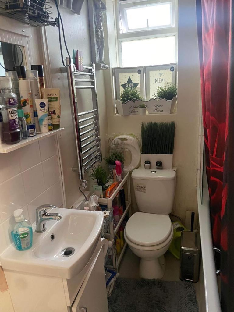 Lili -lovely 2 Studio In Wembley Stadium Apartment *