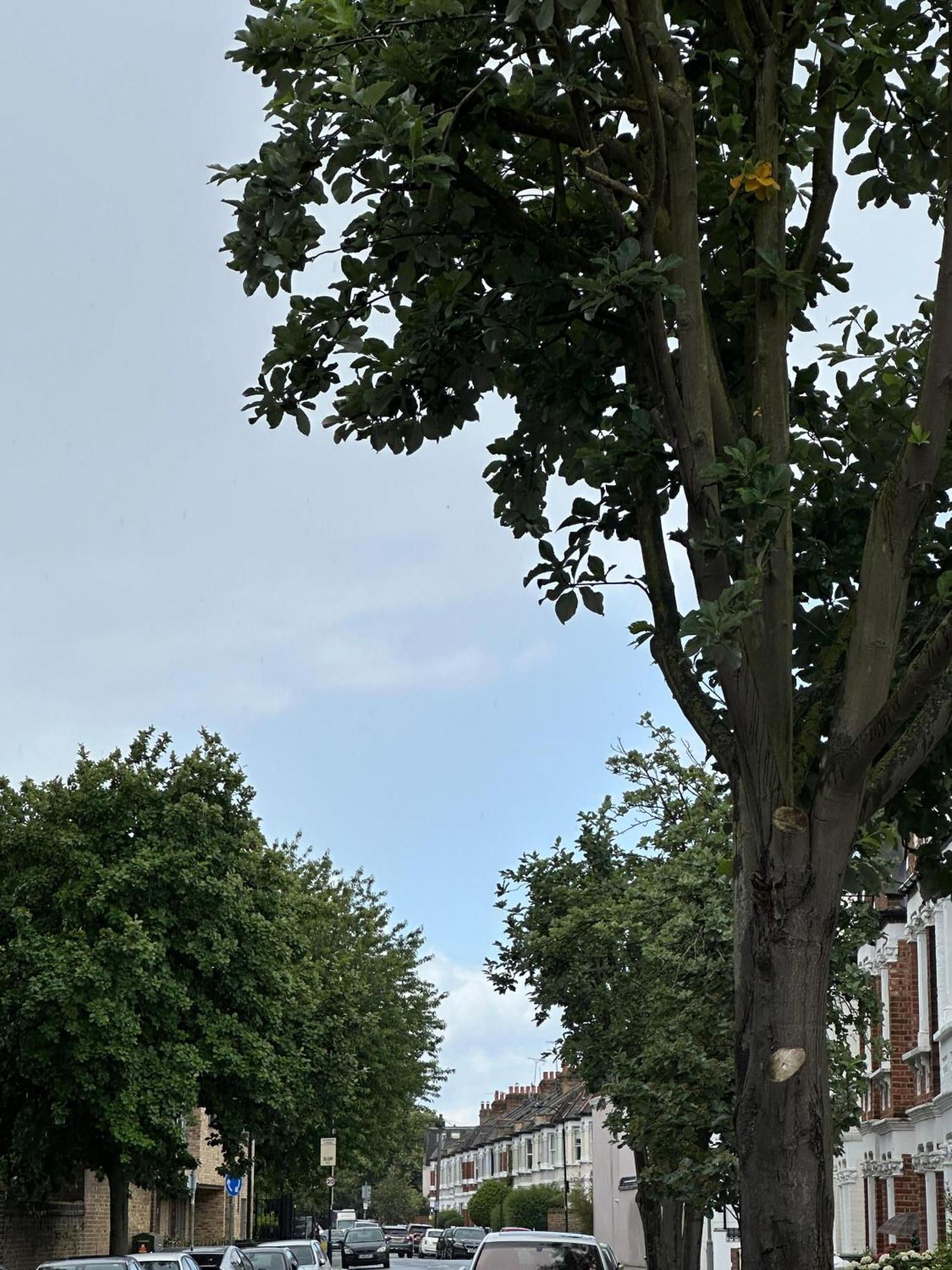 Apartamento Budget 2 Bedroom Close To Hyde Park *