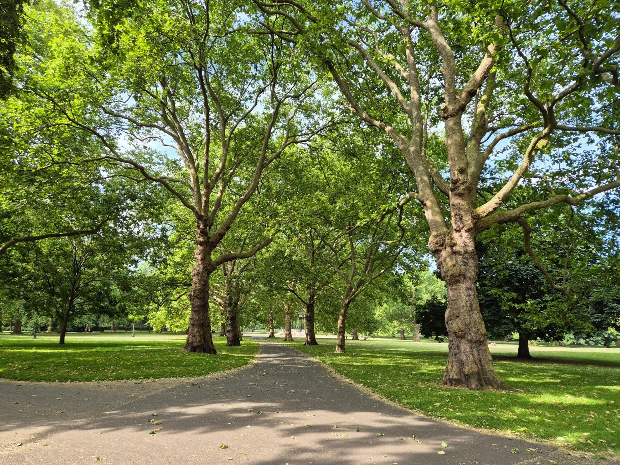 Homestay Central With Stunning Views London