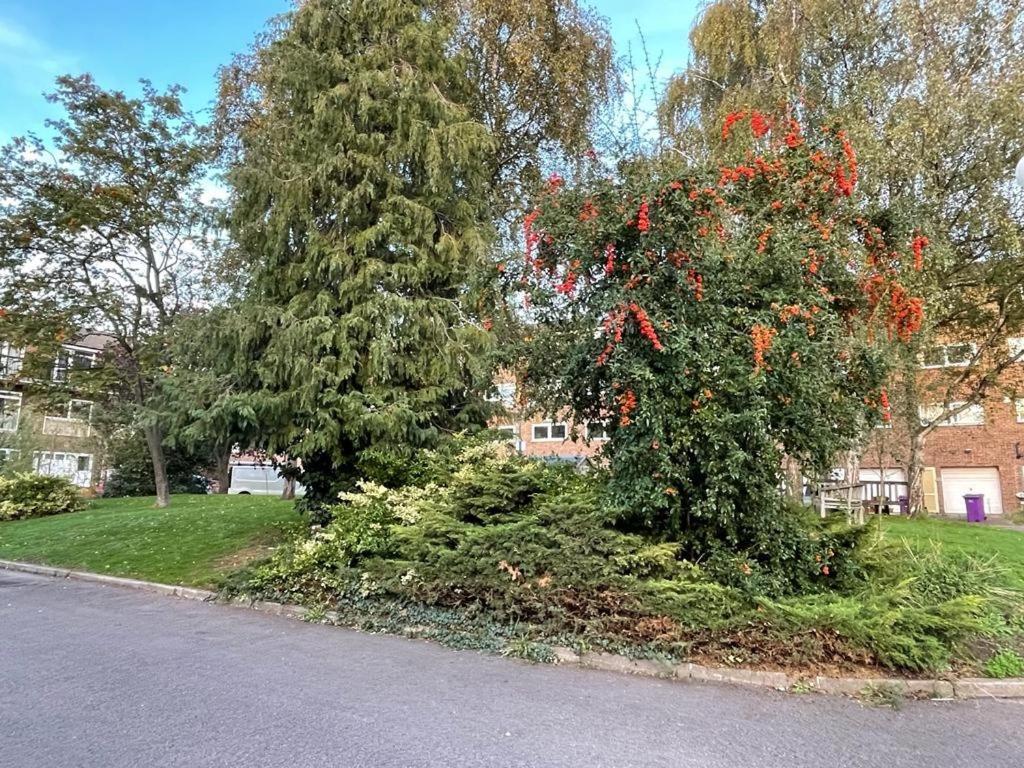 Cosy Bedroom With Private Bathroom Ensuite In Canary Wharf E14 Only 1 Stop To Excel And O2 For Short Or Long Let In Canary Wharf, Less Than An Hour From Heathrow, Stansted And Gatwick Airport Guest house London