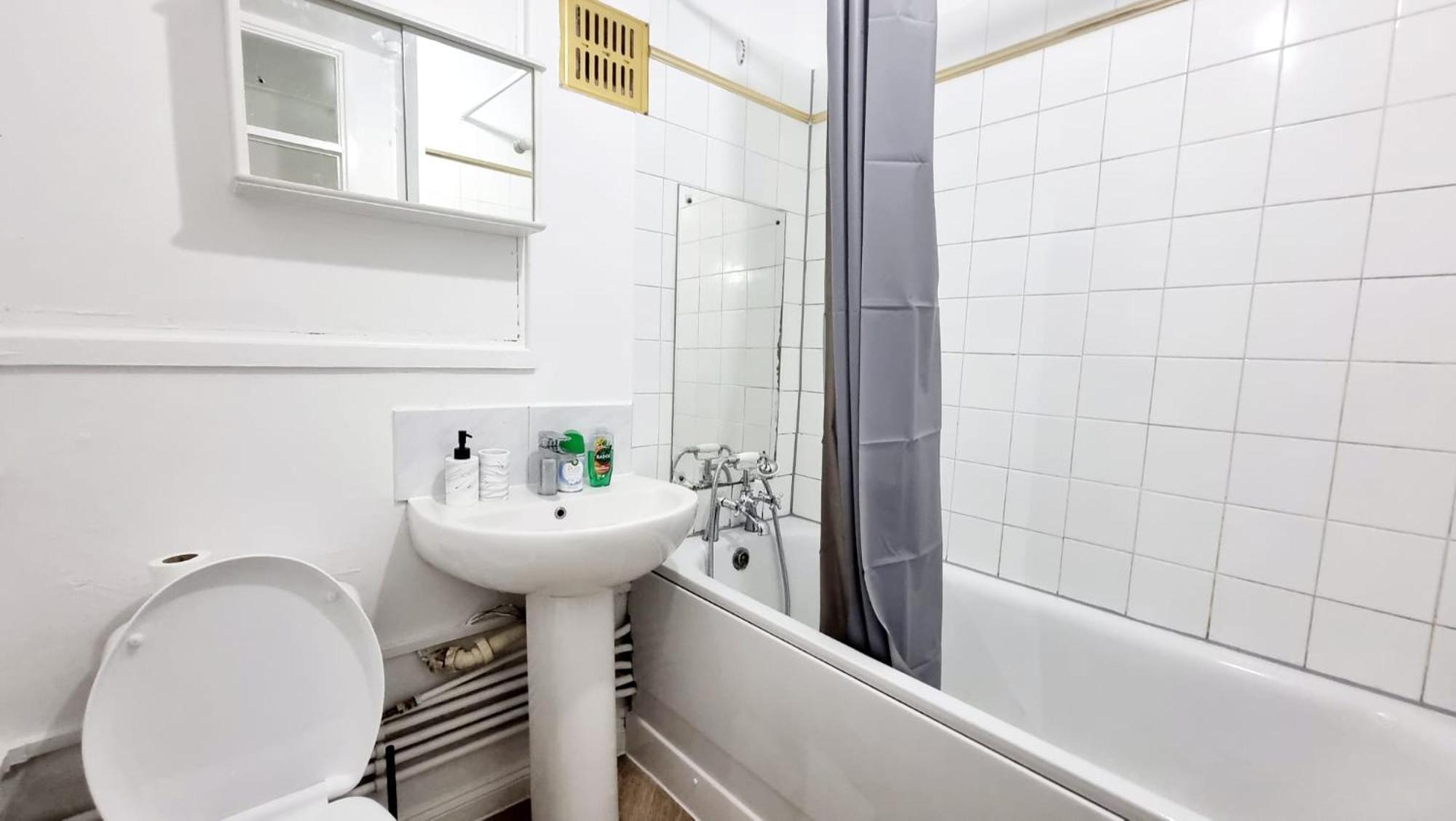 Amazing 1 Bed Entire Flat With Separate Living And Kitchen In With Free Parking Apartment