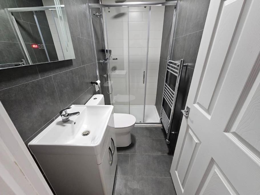 Newly Refurbished Apartment London