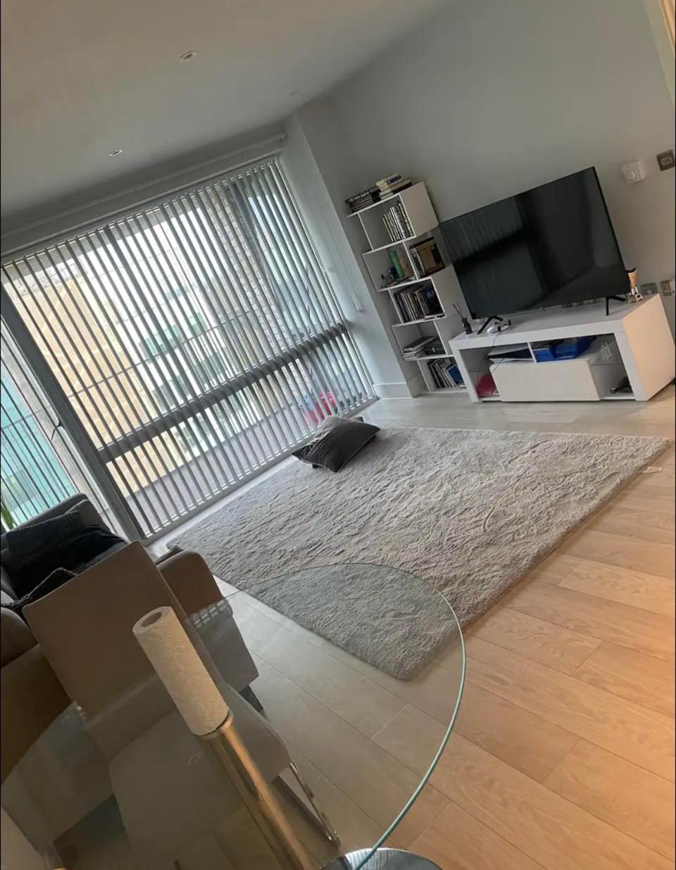 Apartment Park Royal London