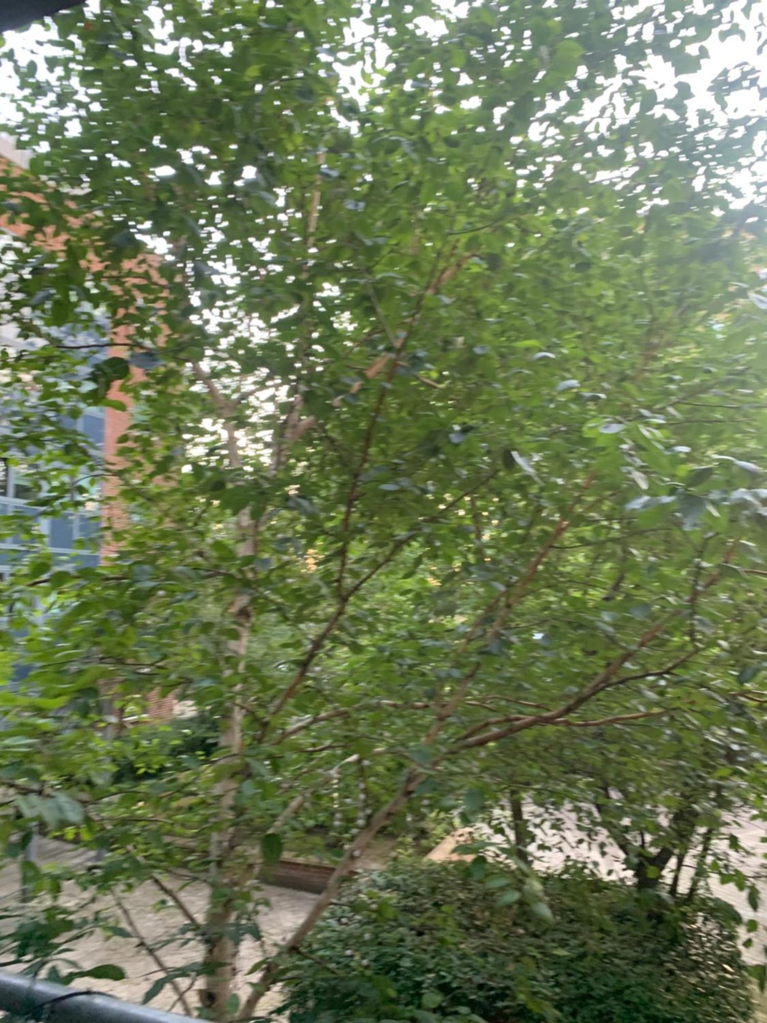 Donnington Court London