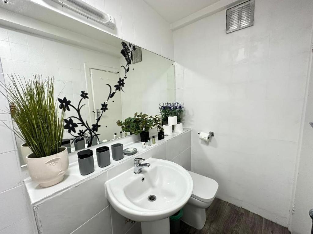 Edgware Road Beautiful Apartment
