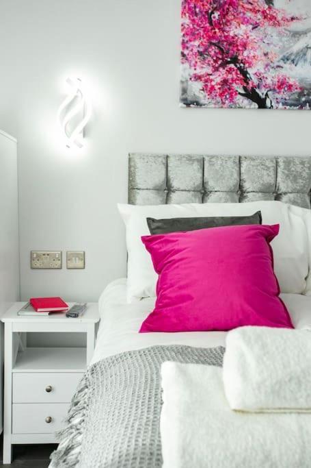 Apartment Cosy Flamingo In Sydenham *