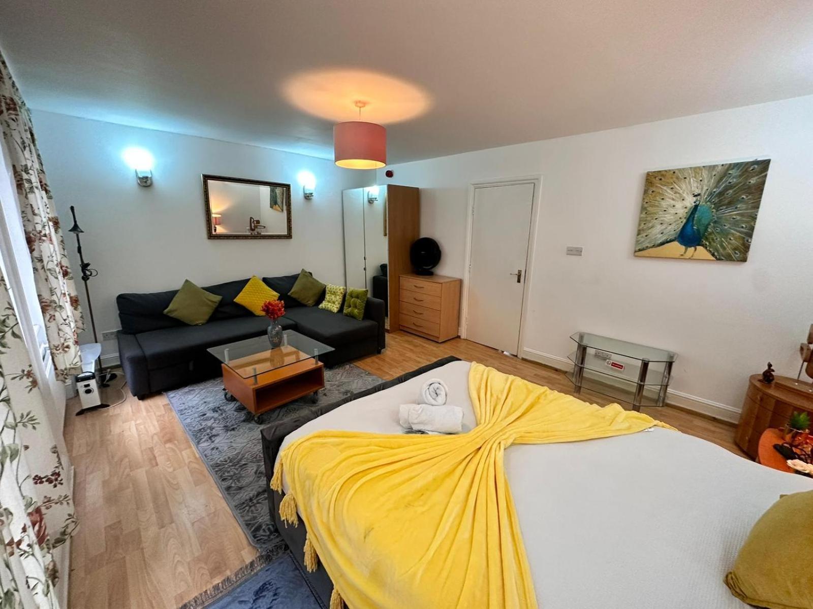 Bright Studio In Central Apartment