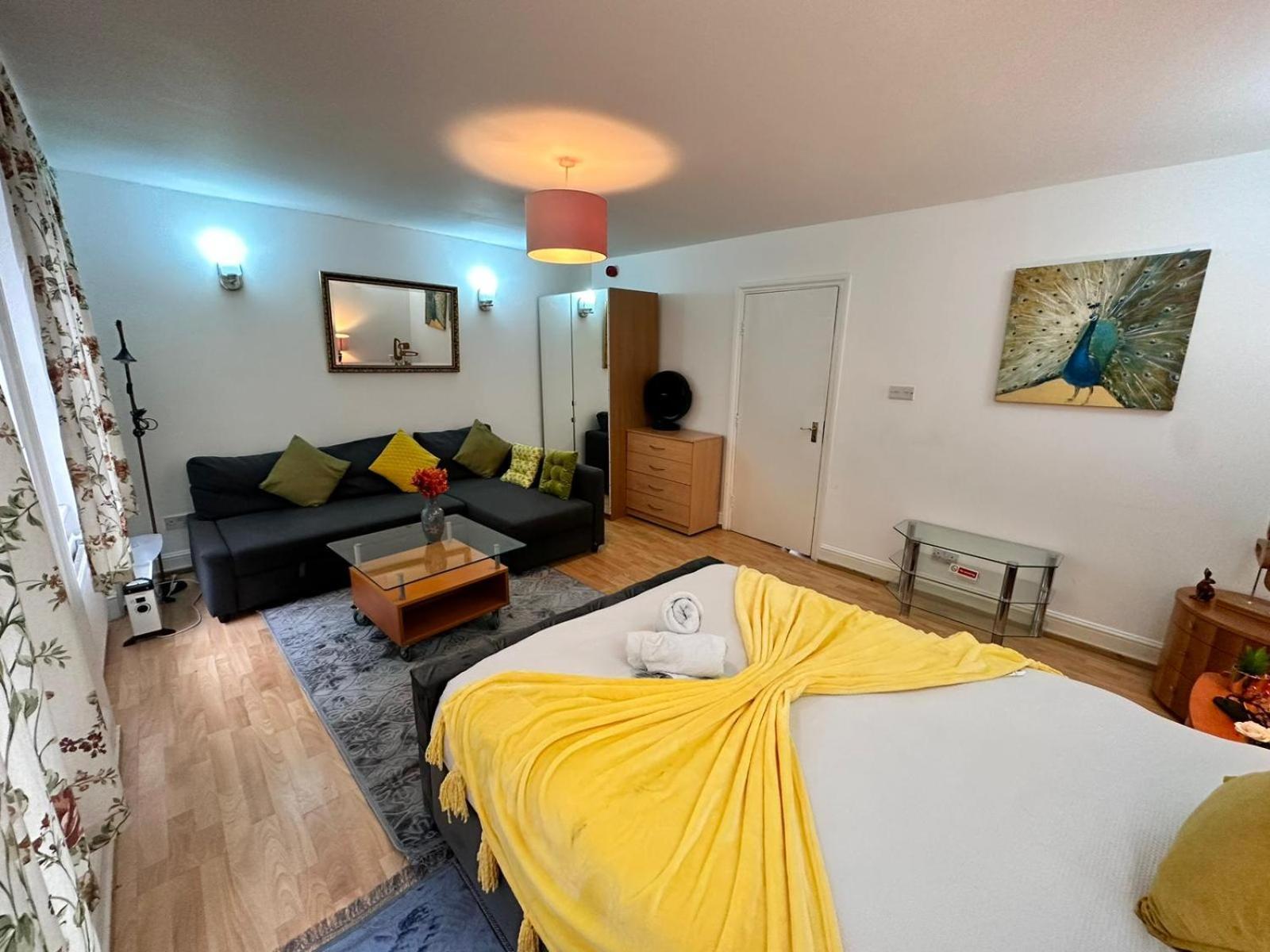 Bright Studio In Central Apartment