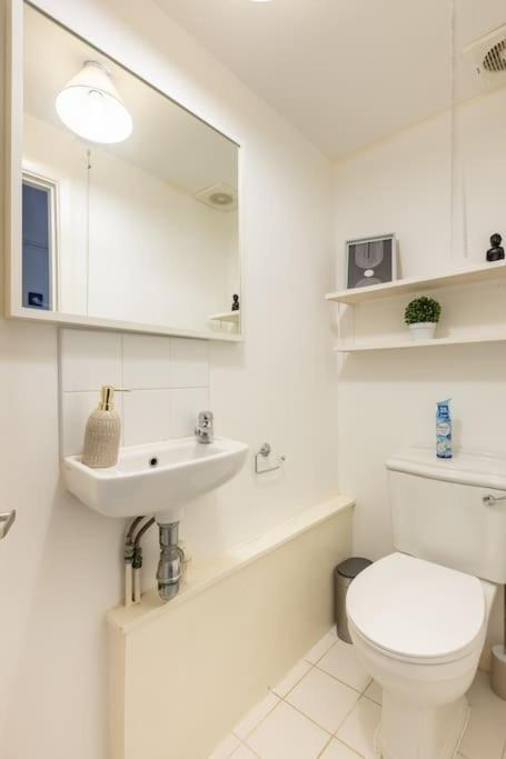 Lovely Garden Flat In Apartment London