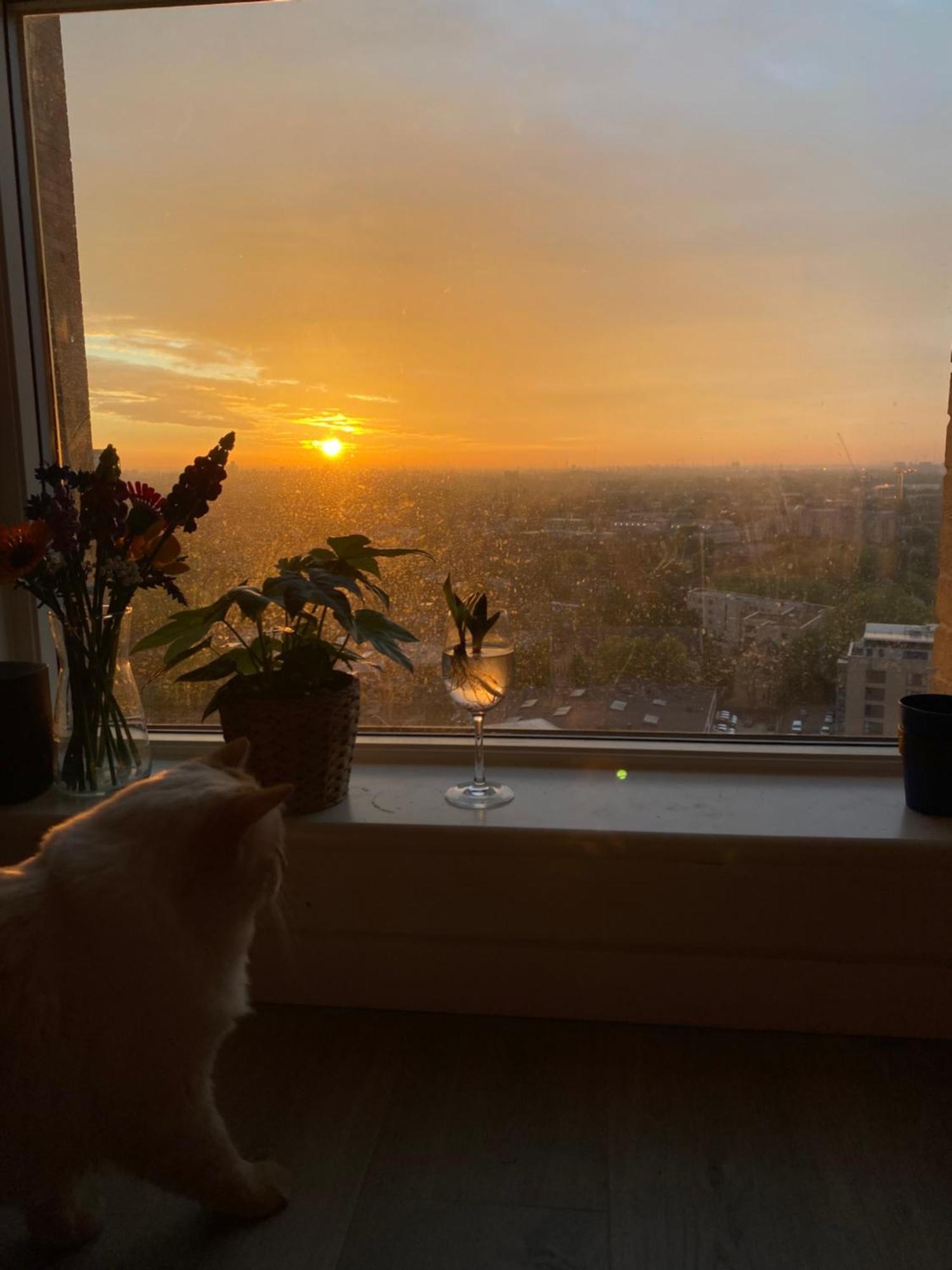 Apartment Cozy Flat With Stunning Views *