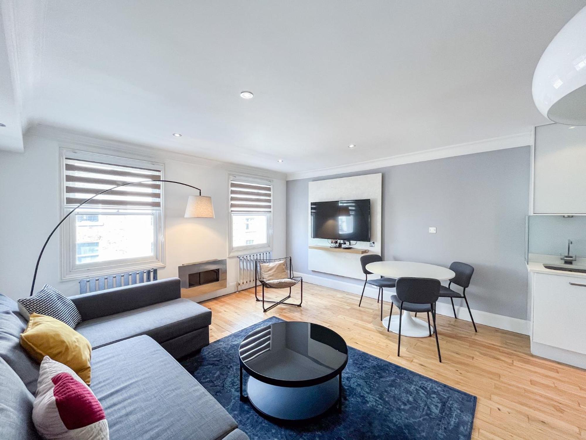 Large And Very Stylish P1 Apartment London